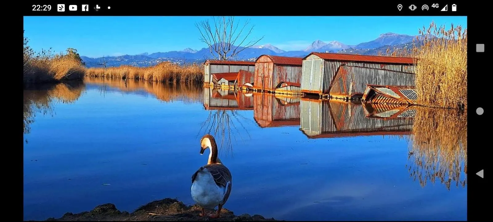 Casa Vacanze Toscana,Lago Di Massaciuccoli