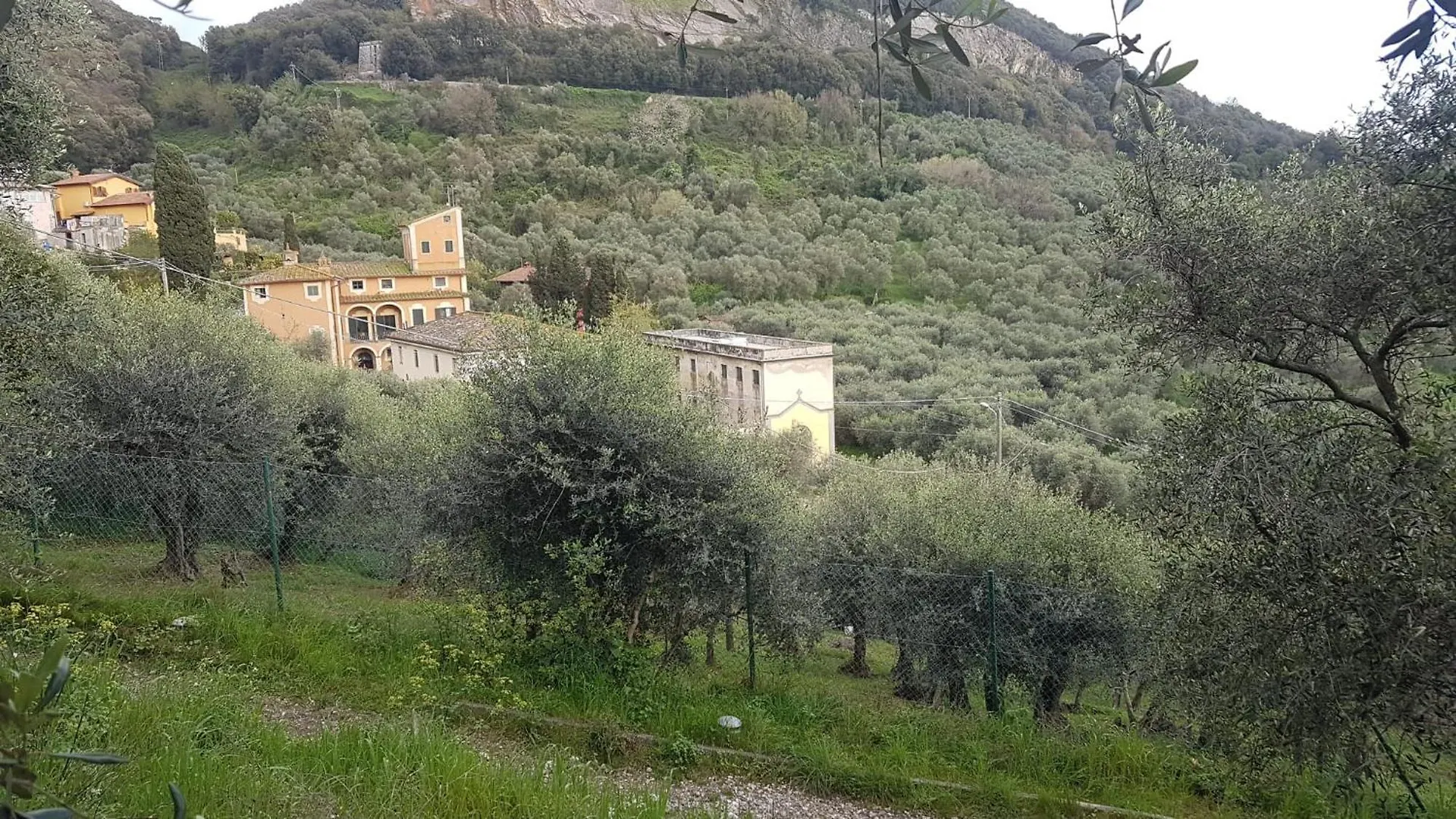 Casa Vacanze Toscana,Lago Di Massaciuccoli