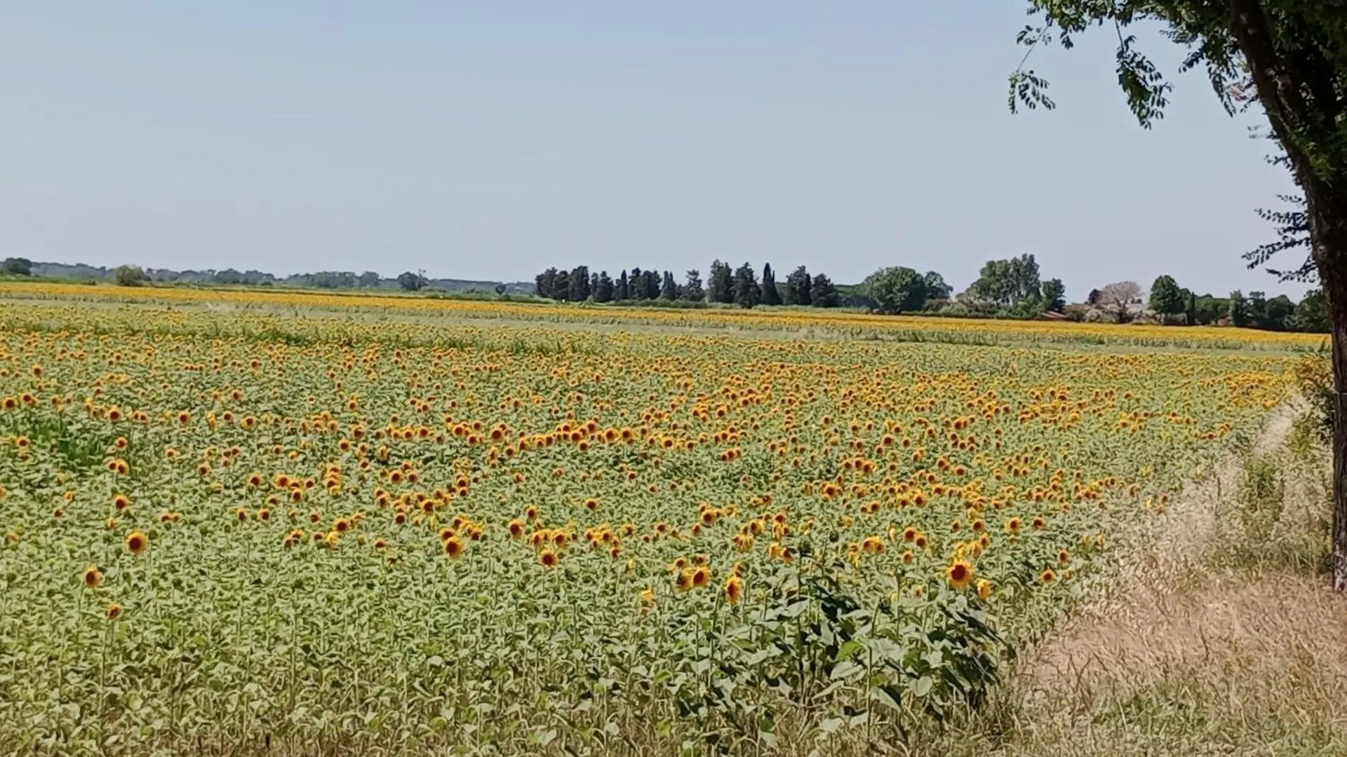Casa Vacanze Toscana,Lago Di Massaciuccoli 0*,