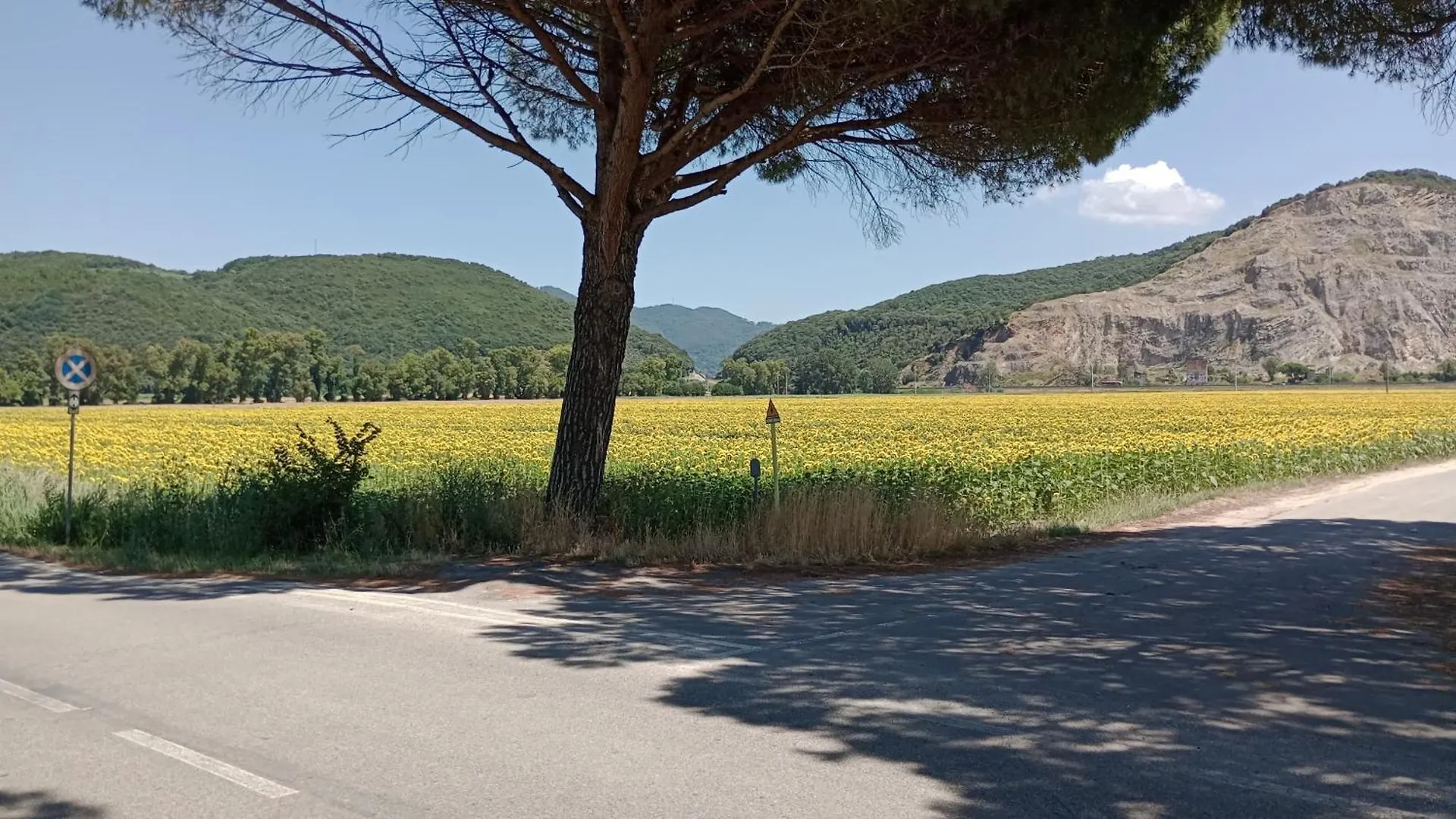 Casa Vacanze Toscana,Lago Di Massaciuccoli